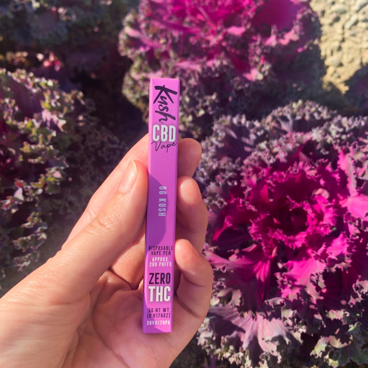 KushVapeCBD's tweet photo. A little bit of color for those gloomy days.
-
-
-
-
-
#CBDVape #naturalvape #CBD #Vape #Europeanvapers #highqualityvape #OGKush #purple #vapeon https://t.co/uhH4GB2ZSz