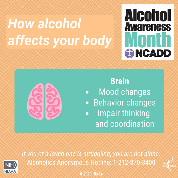 SERAC_CT's tweet photo. This week we're looking at how alcohol affects the body, starting at the top! #alcoholawarenessmonth #effectsofalcohol #alcoholrecovery #reachout @NIH @NIAAAnews @FacingAddiction https://t.co/UOVGBRiDU0