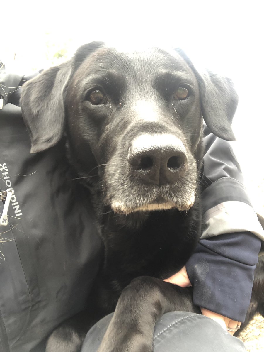 Idag fyller min skugga 11 år!