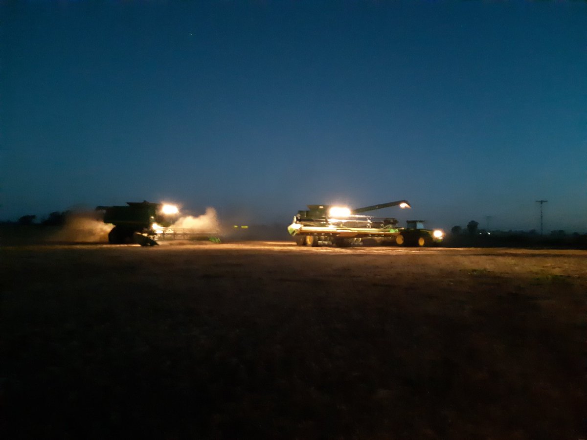 Imparables las verdes