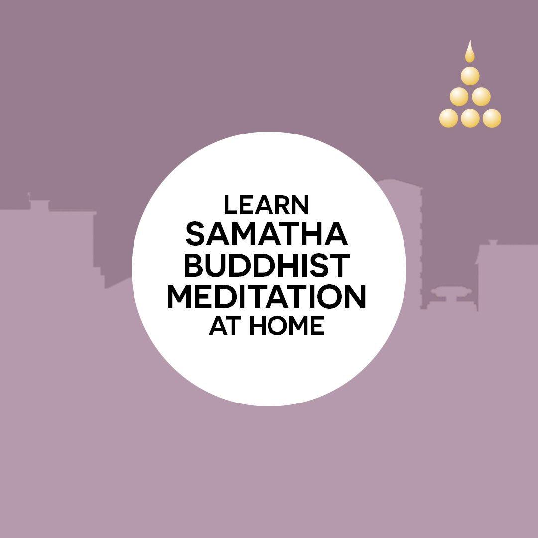 We are still accepting applications for our online meditation courses, more info at Samatha.org #lockdown #mindfuness #meditation #learntomeditate