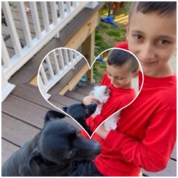 ConlinPrincipal's tweet photo. Ms. Braddy's class showing their pet photo's for "Hug Your Dog/Pet Day!"  Enjoy these fun pics! @ConlinPrincipal @RedClaySchools @teamredclay #soarHeritageSOAR https://t.co/NCEDMBDsnS