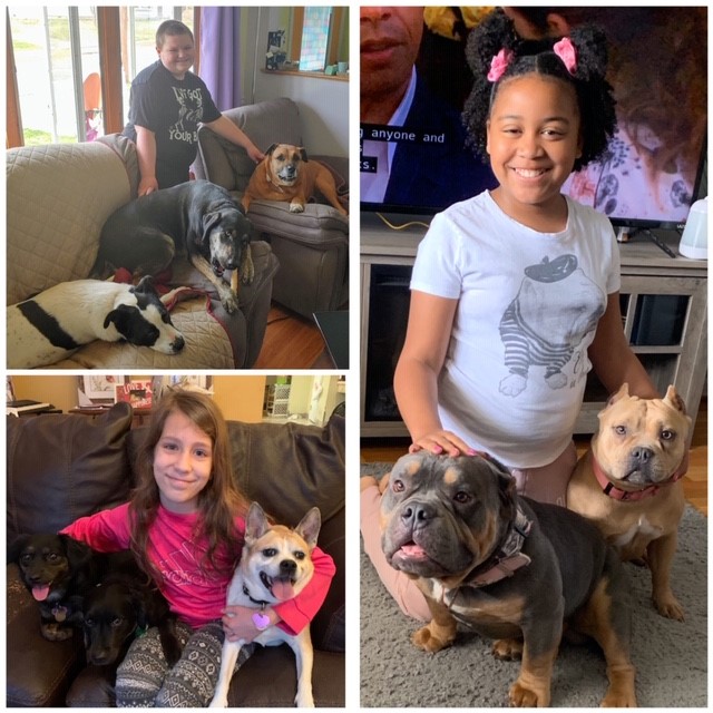 ConlinPrincipal's tweet photo. Ms. Braddy's class showing their pet photo's for "Hug Your Dog/Pet Day!"  Enjoy these fun pics! @ConlinPrincipal @RedClaySchools @teamredclay #soarHeritageSOAR https://t.co/NCEDMBDsnS