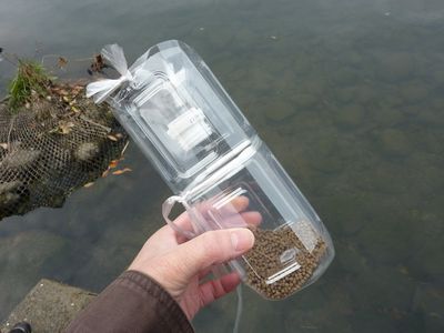 お魚キラーで大物ゲット おすすめの餌や使い方 自作方法も キャンパーズ