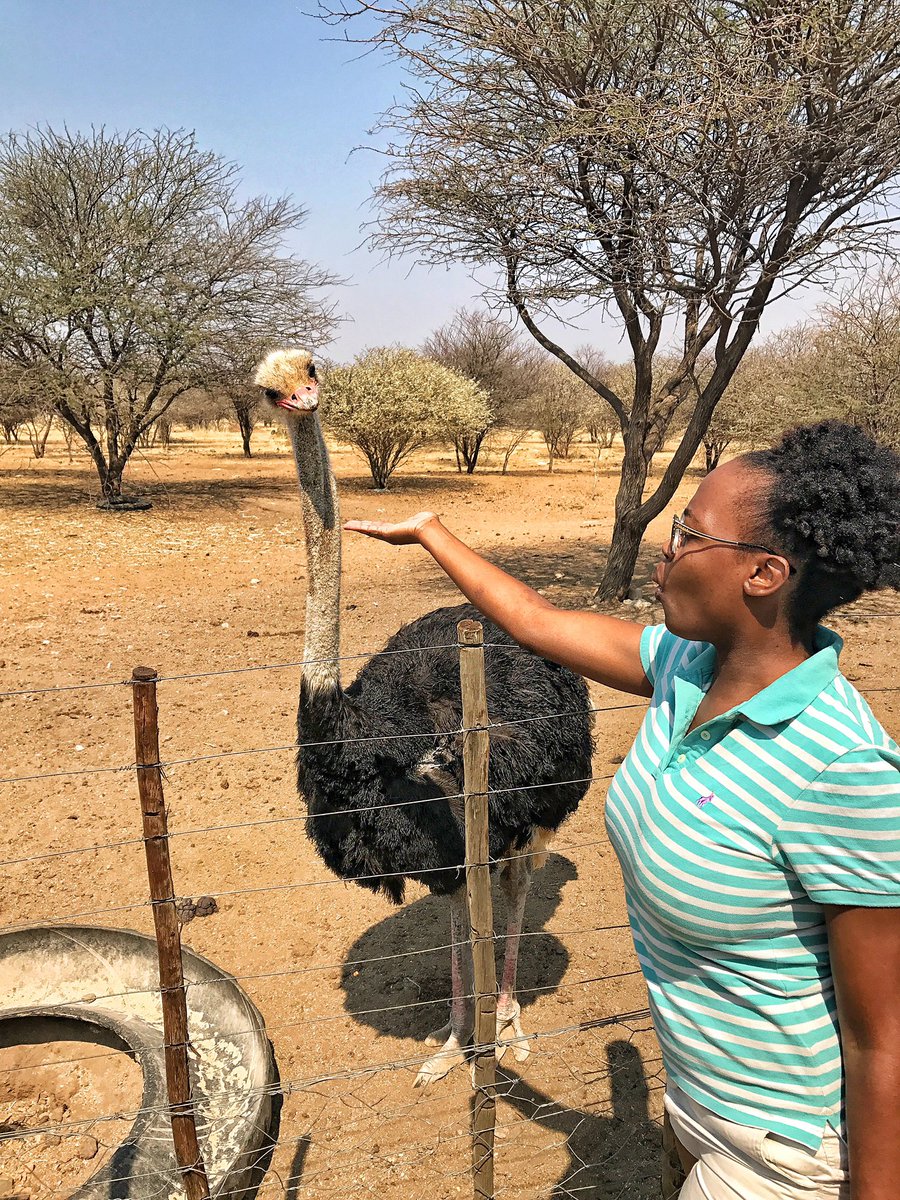 Ombo Rest Camp: Stone throw away from Okahandja. We camped, about N$150ppWe got a crocodile tour and got to feed ostriches. Listen, I like the adrenaline but got scared a little.Oh, no video here. Sometimes I don’t want to pick up the camera or film, I just want to be.