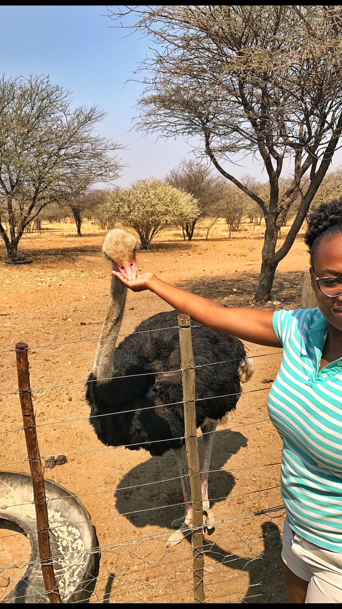 Ombo Rest Camp: Stone throw away from Okahandja. We camped, about N$150ppWe got a crocodile tour and got to feed ostriches. Listen, I like the adrenaline but got scared a little.Oh, no video here. Sometimes I don’t want to pick up the camera or film, I just want to be.
