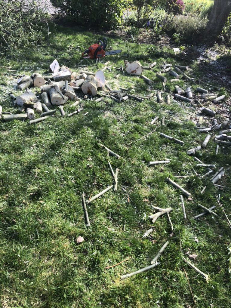 senatorpauldaly's tweet photo. Oops!! Apparently what I view as an eyesore in the garden differs from what @BernieMacCarthy thinks “Beauty is in the eye of the beholder” Maybe I should have checked first!!! I hope the chipper is open 😂#MondayMotivaton #NoDinnerForMe https://t.co/qckttRTh6v