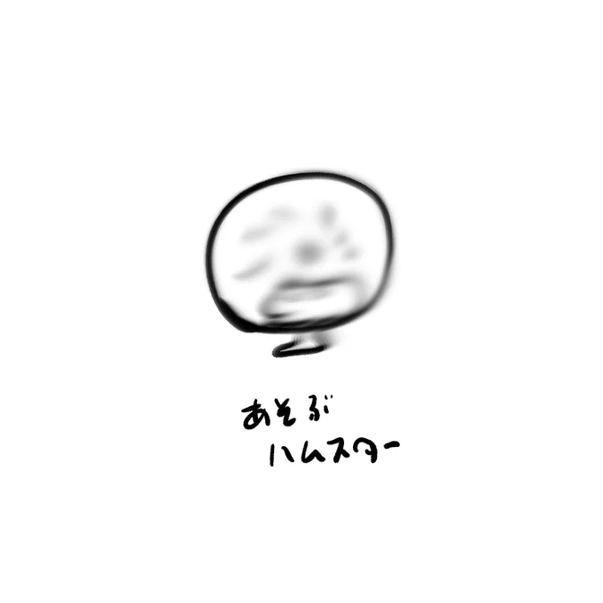 今日のハムスター 
