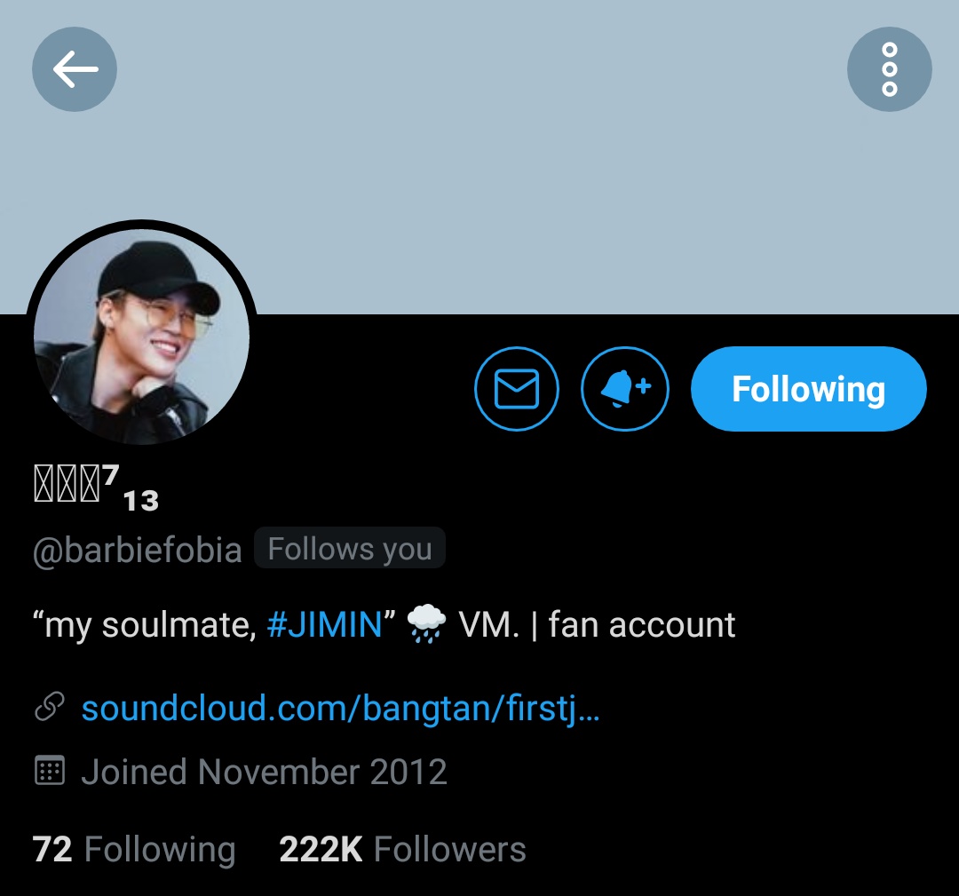 han  the prettiest and the nicest person ever, ur acc makes me so happy and it always awakes the softest spot in me for park jimin.. ilysm  @barbiefobia 