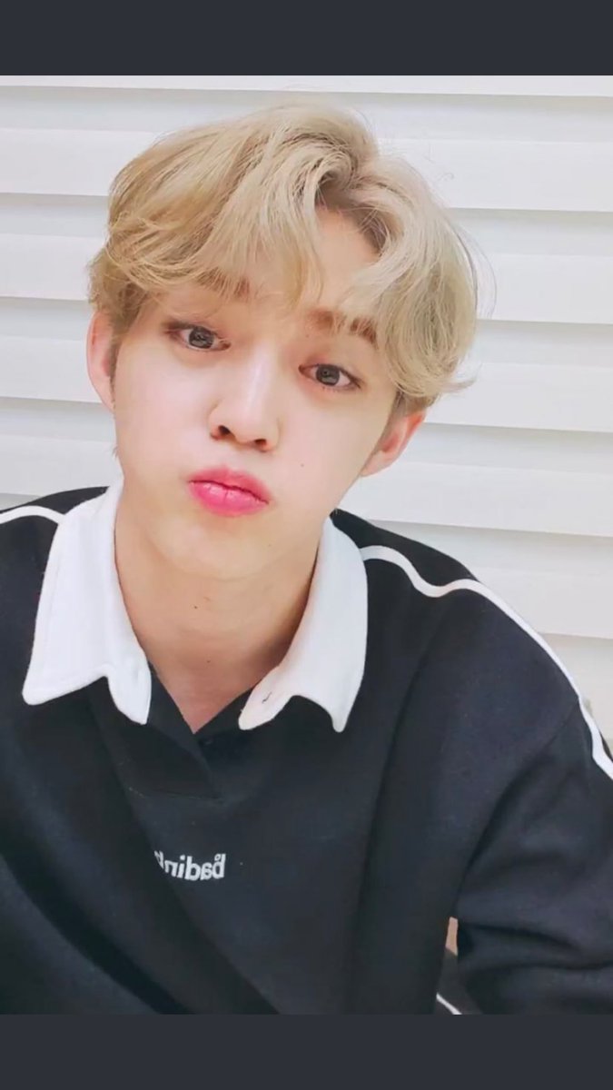 ☆ day 104 ☆we got TWO seungcheol lives !! AND BLONDE SEUNGCHEOL what a day