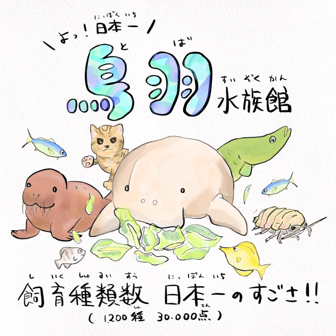 暇だから大好きな水族館紹介する(1/2)#鳥羽水族館 