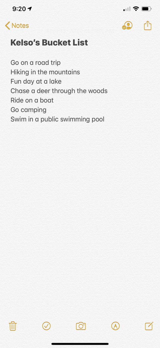 labenz_xo's tweet photo. My husband just sent me a bucket list for our dog. I can only imagine how he’s going to be as a father 😭😩❤️ https://t.co/oByxhKV9CY