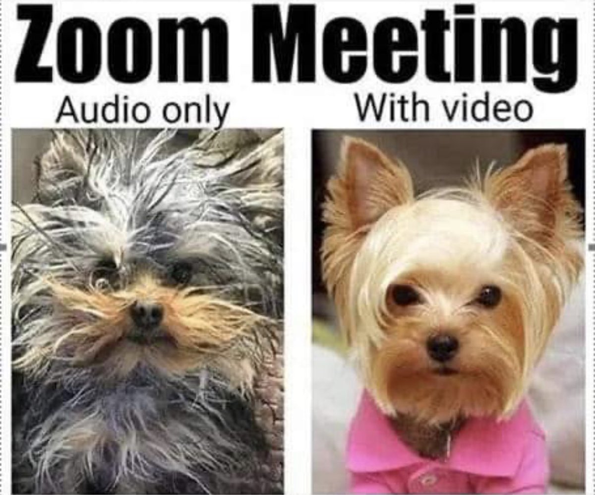 Lee Strobel (@leestrobel) on Twitter photo 