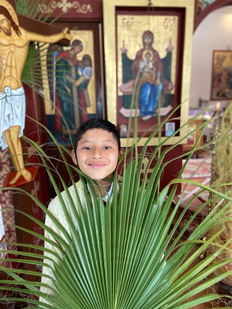 ProjectMexico's tweet photo. Palm Sunday!🌴#stinnocentorphanage #projectmexico #buildinghope365 https://t.co/62fPqUVWJZ