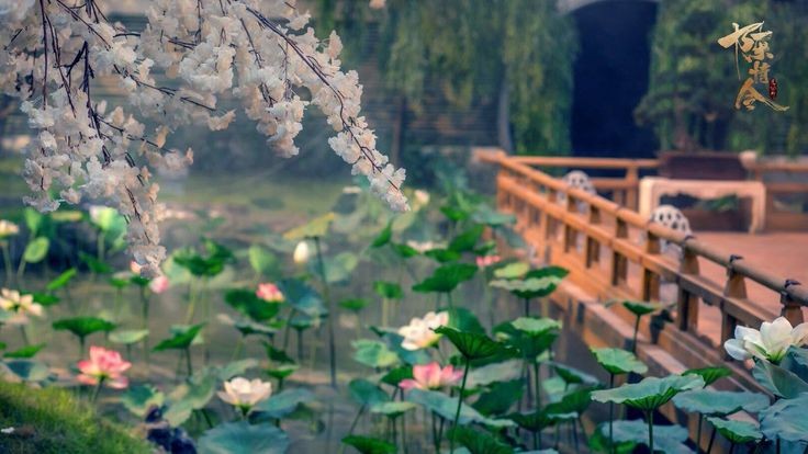 zunyiqa's tweet photo. lotus pier https://t.co/eI4mpzrQA6