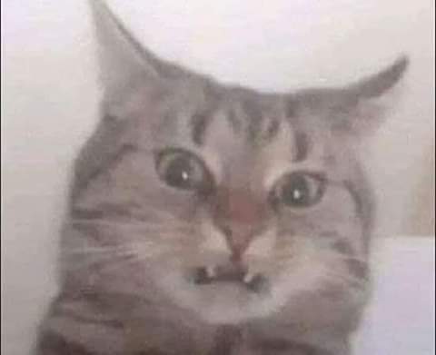 FoquitaU's tweet photo. @OLozva Ew, que cringe https://t.co/qbdSLzIifa