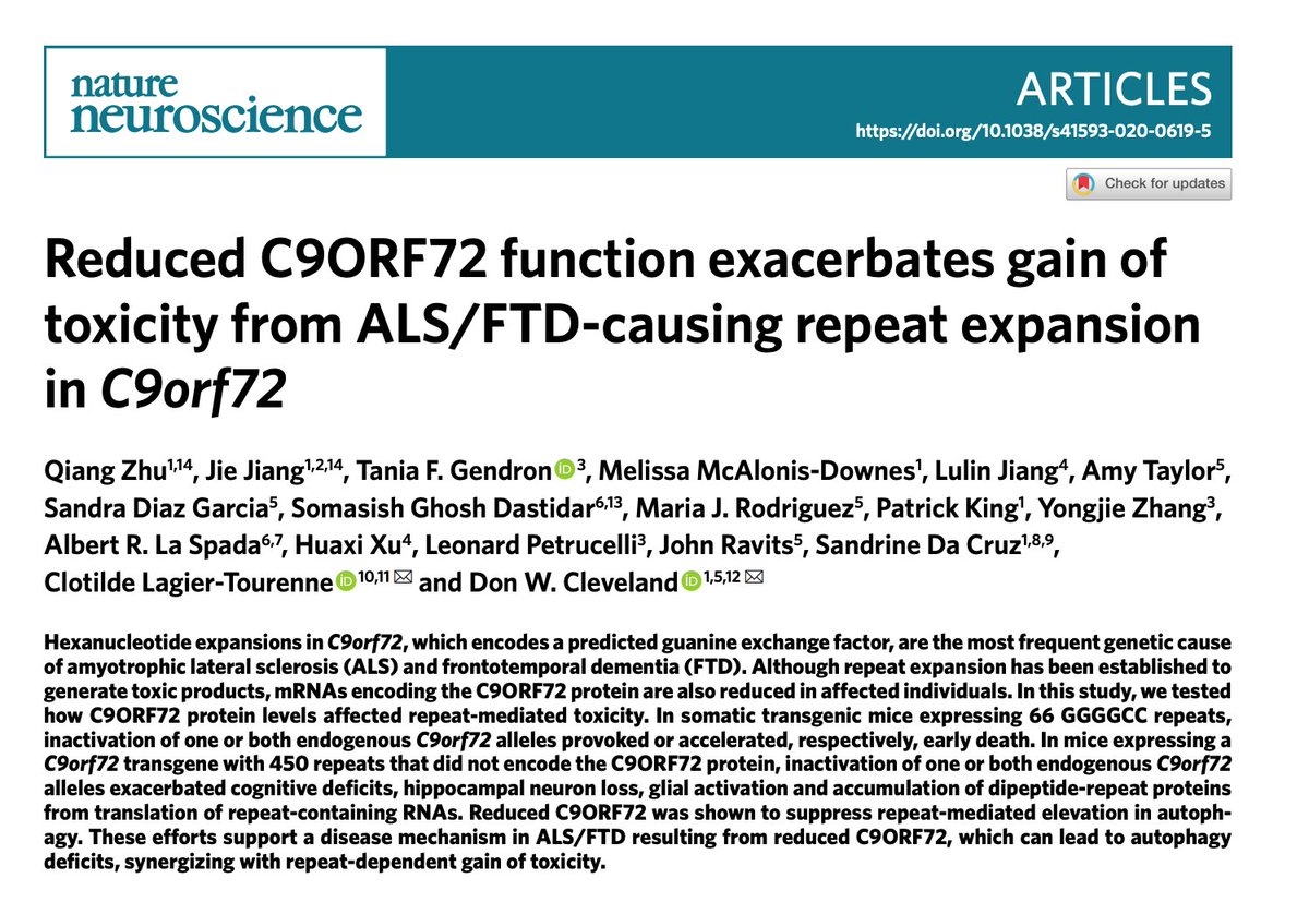 TweetALSMND's tweet image. Reduced #C9orf72 function contributes to neurotoxicity in #ALS #MND by inhibiting #autophagy according to a new study @NatureNeuro go.nature.com/2xpHCvd #LagierTourenneLab #ClevelandLab
