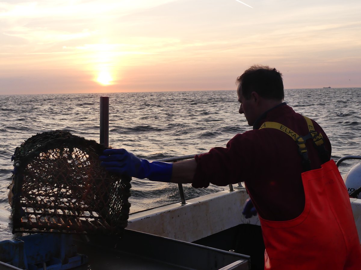 PassionSeafood's tweet photo. And not forgetting our dedicated Cromer crab fisherman Simon Bywater, from East Runton, on the North Norfolk coast and his boat 'Jade Sue' YH10 - tirelessly catching and dressing our wonderful #CromerCrabs thank you Simon... 😎🦀🦀🦀 https://t.co/MzsMuM8fON