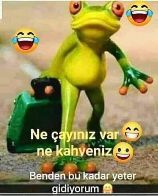 Nihatgokgun's tweet photo. SAKAĞA ÇIKABİLİRMIYİM EVET
MASKESİZ ÇIKABİLIRMİYİM HAYIR
MASKESIZ MARKETE GİREBİLİRMİYİMHAYIR
TOPLU TAŞIMAYA BİNEBİLİRMIYIM HAYIR
MASKE ALARBİLİRMİYİM HAYIR
MASKE OLMADIĞI İÇİN CEZA YIYEBİLİRMİYİM EVET
MASKE NEREDE YOK

#MSAKE YOK https://t.co/l5iGHoiZDn