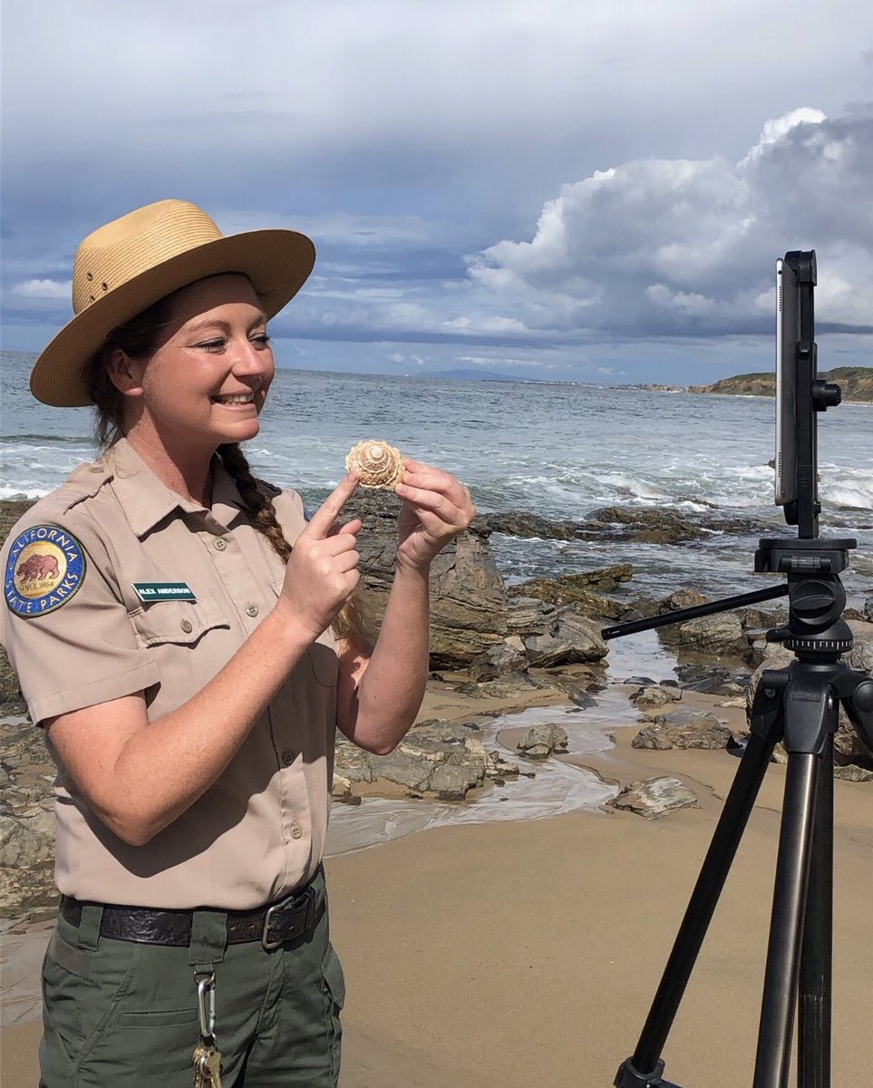 portsprogram's tweet photo. Happy #MPAMonday !
#DiveintoMPAs w/ 6 @CAStateParks @portsprogram #homelearning programs focused on our coastal parks & the #MPAs that border these parks. Programs come from @NorCoStateParks @MorroBaySPs & more!
Sign up for programs by visiting: https://t.co/bdXnphtboS https://t.co/Pc2vVIucuj