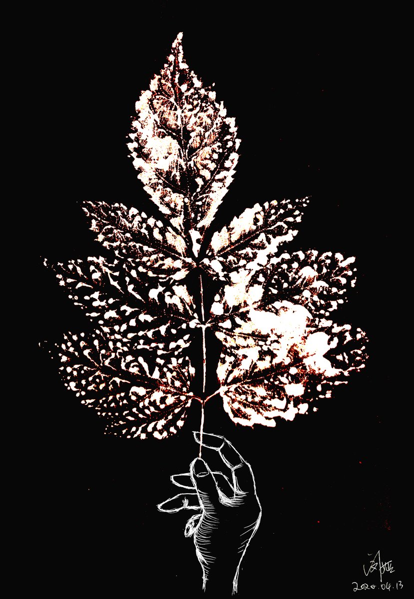 0_minyaaa's tweet image. Tried some acrylic leaf printings for the first time. 
#leafprint #bioart #sciart #plantart #iamabotanist