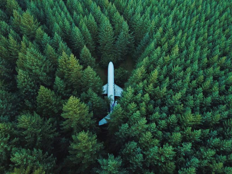 MwambaAnalytics's tweet photo. @MwambaCapital Plant: [99.8% confidence], Tree: [99.8%], Conifer: [98.4%], Vegetation: [98.3%]  https://t.co/swKtERo01G https://t.co/XWaBMTMLZr
