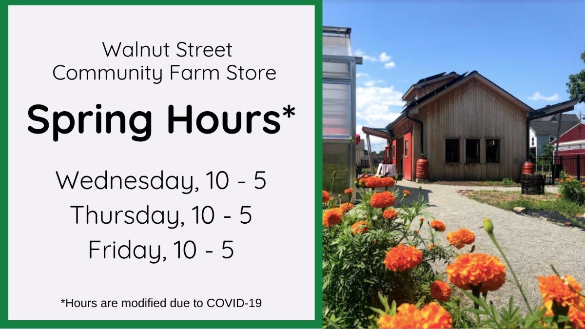 Project Coach tweet media