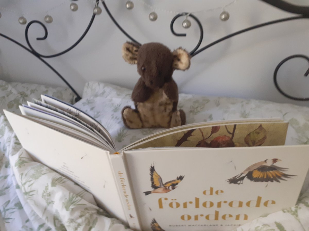 melperry1910's tweet photo. Enjoying @folkonfoot this afternoon. Here is Timmy reading "de förlorade orden" and listening to @IAMKP @lwspellsongs Timmy says "Hi" to Alba. Blessings to you all. https://t.co/iVM4no52rd