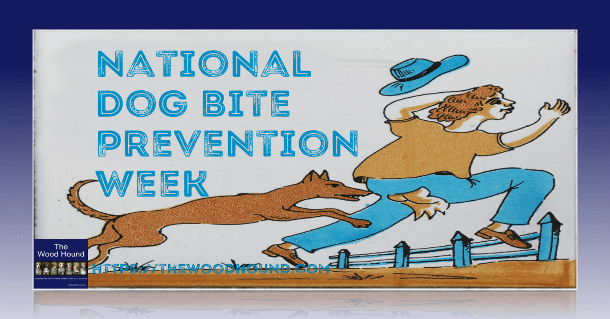 DenaBriley's tweet photo. APRIL 12TH – 18TH
NATIONAL DOG BITE PREVENTION WEEK – ALL DOGS CAN BITE.
Find out more about this #dogholiday and even more #holidaysfordogs in April => https://t.co/4fSQeJlKHC https://t.co/qlLDJQPCqS