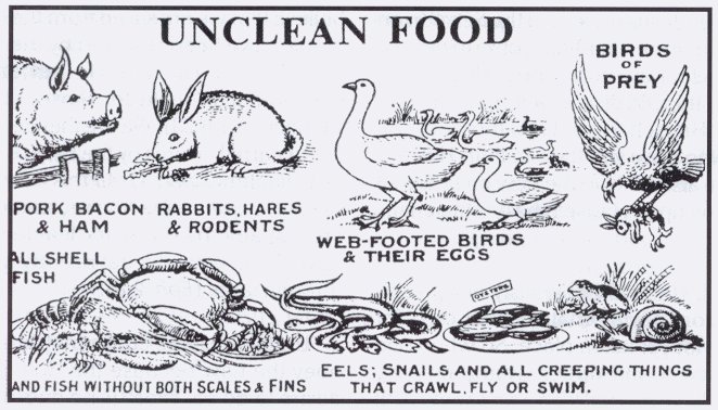 APAKAH ALKITAB BISA MEMPREDIKSI VIRUS CORONA MENDUNIA? berjagajaga.wordpress.com/2020/04/13/apa…