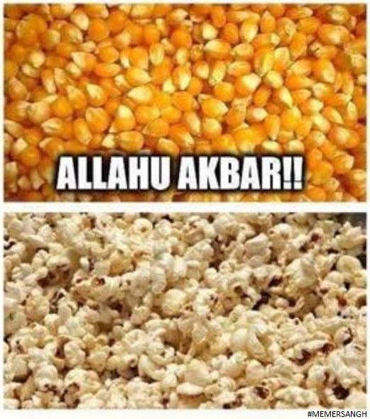 offensivememes tweet media