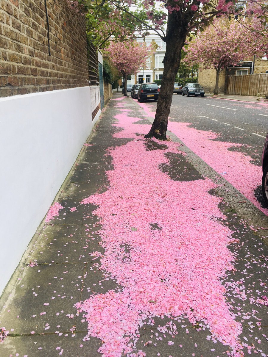 Pink pavements. Show me yours. Let’s have a sea of pink.