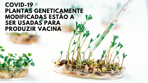 CiB Centro de Informação de Biotecnologia Portugal tweet media