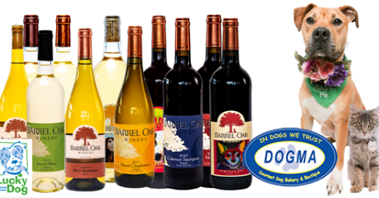 DCLuckyDog's tweet photo. Drink wine, stay home and save lives! Now through Thursday, April 23rd all local Lucky Doggers will receive 40% off wine and a free @dogmabakery Big Mixed Bag with every case of wine you purchase from https://t.co/5RDwhkd4H1. @BarrelOak https://t.co/3tNKer8CF7