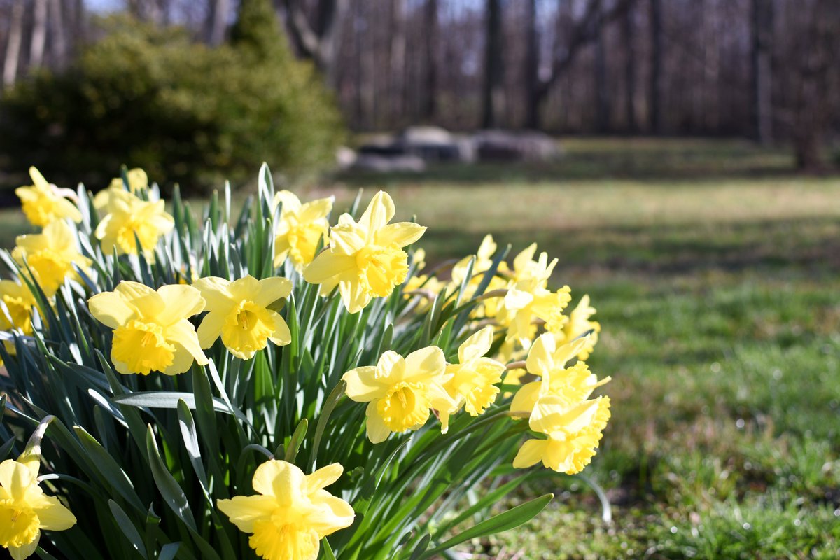 BlufftonU's tweet photo. Spring has sprung at Bluffton! Soon campus will be filled with bright green grass, blooming flowers, and a flowing Riley Creek. Which season on campus is your favorite? #BlufftonU #ComeToBluffton #springhassprung #campusbeauty https://t.co/IrblF2JtYK