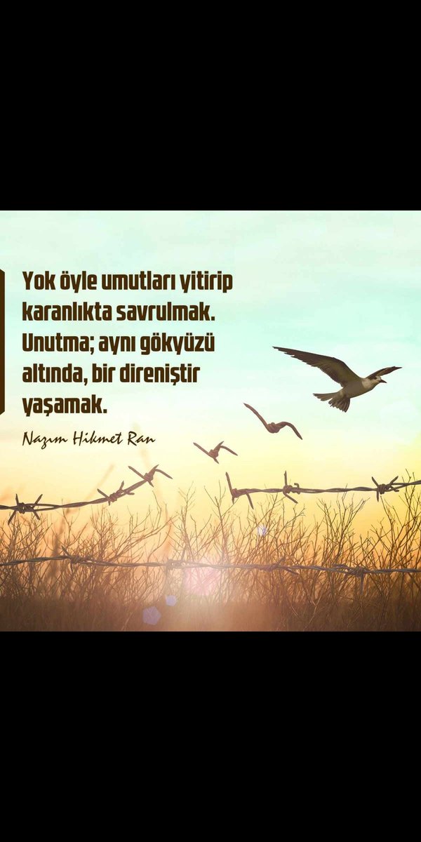 MusaSara3's tweet photo. @croxilexxx https://t.co/ksZH1dzg0f