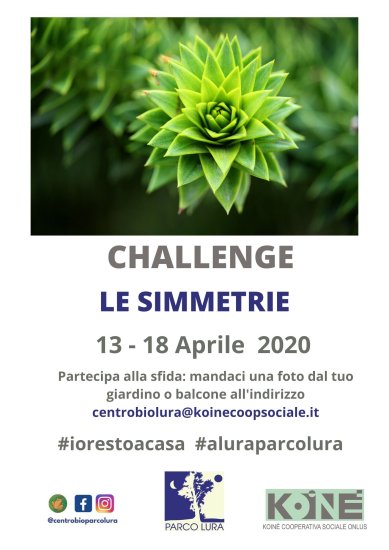 4°appuntamento proposto dal Centro della biodiversità del Parco Lura con le fotografie dal proprio balcone! Tema: simmetrie. #parchidilombardia #regionelombardia #sistemaparchi #iorestoacasa #fermiamoloinseme