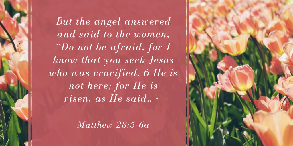 Revannable's tweet photo. #Need a reason to #celebrate? "But the angel answered and said to the women, “Do not be #afraid, for I know that you seek Jesus who was #crucified. He is not here; for He is risen, as He said." Mt 28:5-6a #scripture #MusicMonday #FHLauthor #EasterMonday https://t.co/tz9MjhKGxF