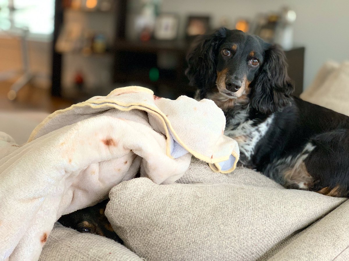 Willie Woo tweet media