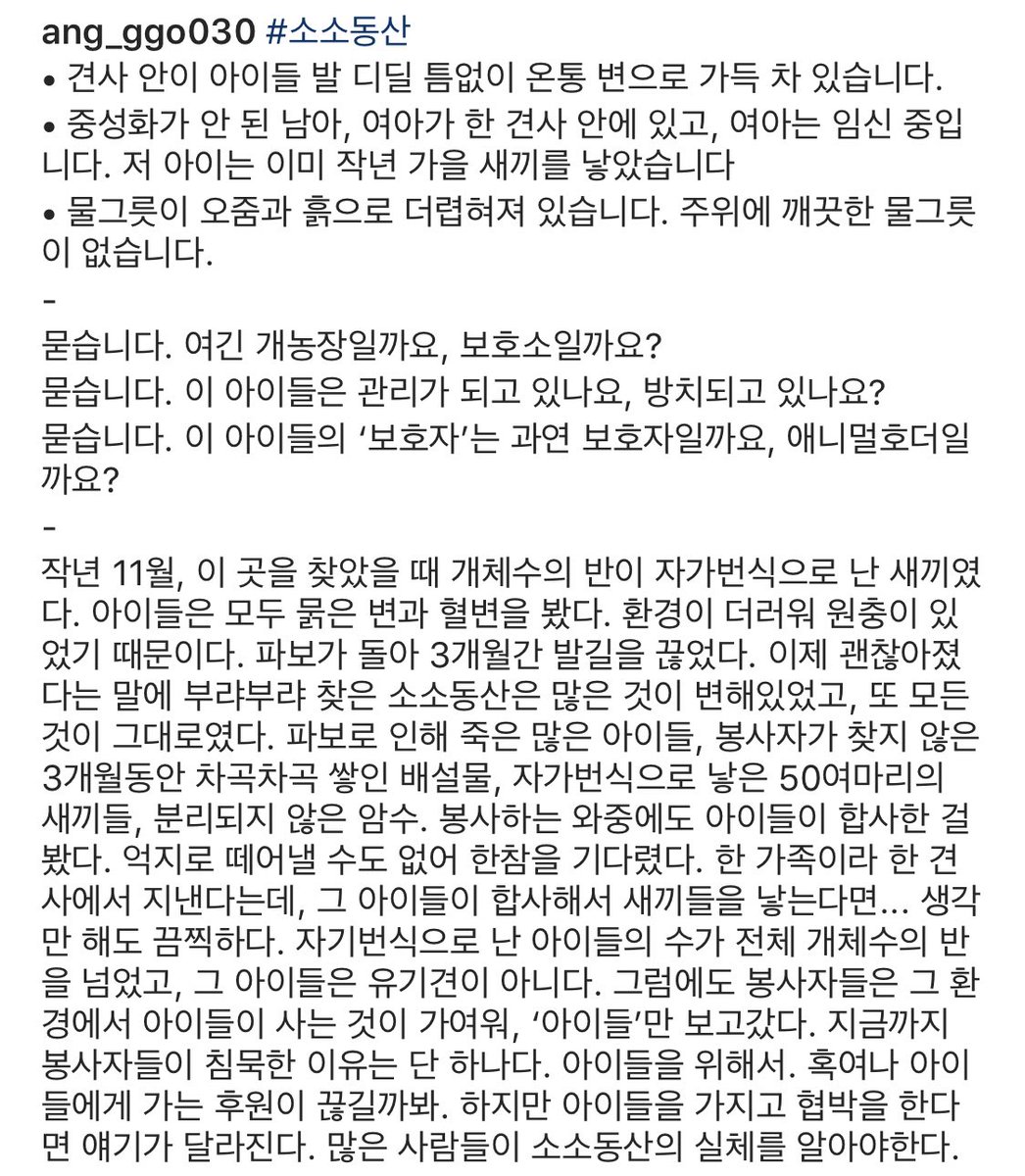 #소소동산
글을 쓰려면 밤새 써도 모자라 간략하게 적었습니다. 동물학대로 신고하고 최대한 공론화 하려고 합니다. 포기각서를 받아내야 아이들이 살 수 있습니다... 할 수 있는 한 최대한, 뭐든 해보려 합니다. 조언 부탁드립니다🙇‍♂️🙏