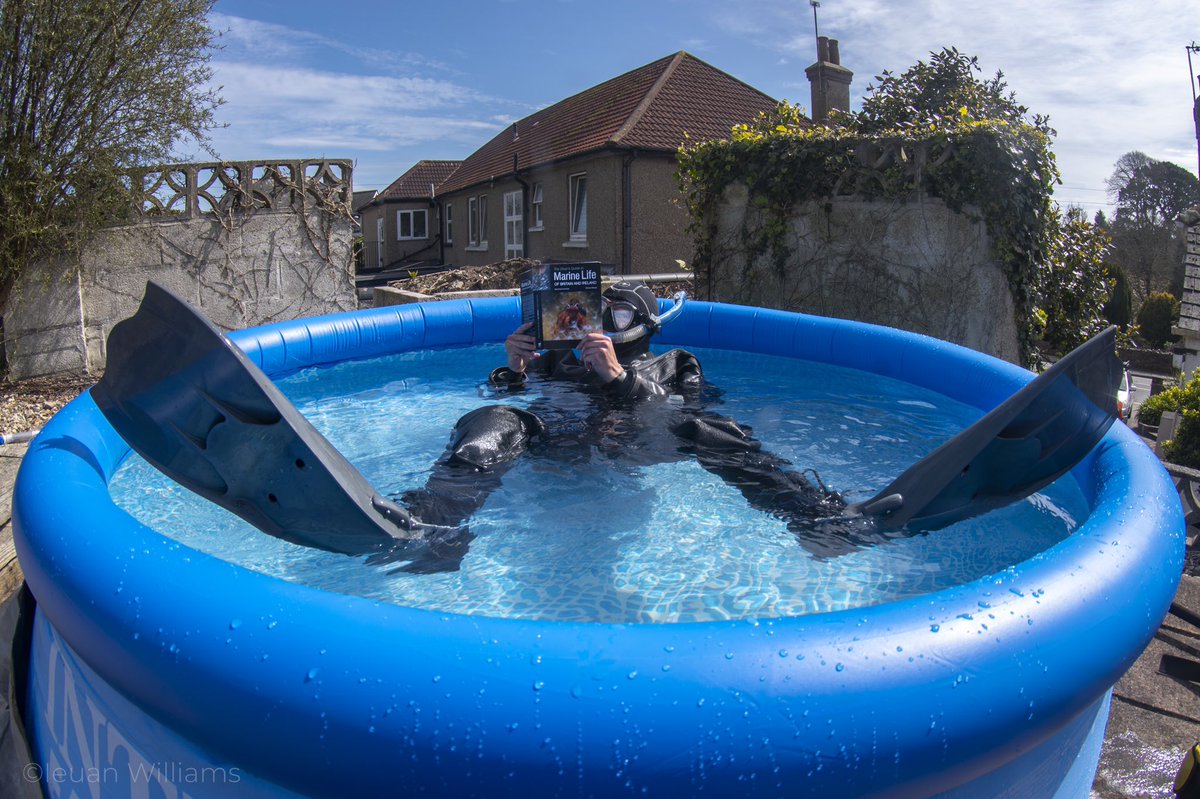 Shannon_Photo's tweet photo. Can’t go diving...so here’s the next best thing! 🤿
Photo by Ieuan Williams.
@PADI @AquaLungDivers #scuba #COVID19 #photography #MNHP #Falmouth @FalmouthUni @MNHPFalmouth https://t.co/NNJTaA12Wm