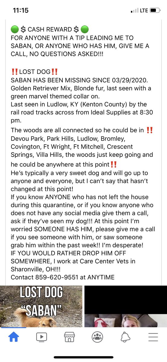 _MeggieLee's tweet image. 🟢💲CASH REWARD💲🟢
‼️LOST DOG PLEASE SHARE‼️