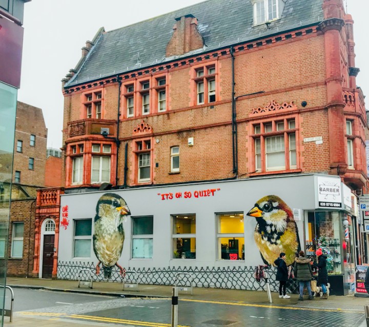 Number one on the list is the Sparrow. Despite this it has still significantly declined from the first time the the birdwatch ran in 1979.  @louismasai created mural of two sparrows in Wimbledon earlier this year