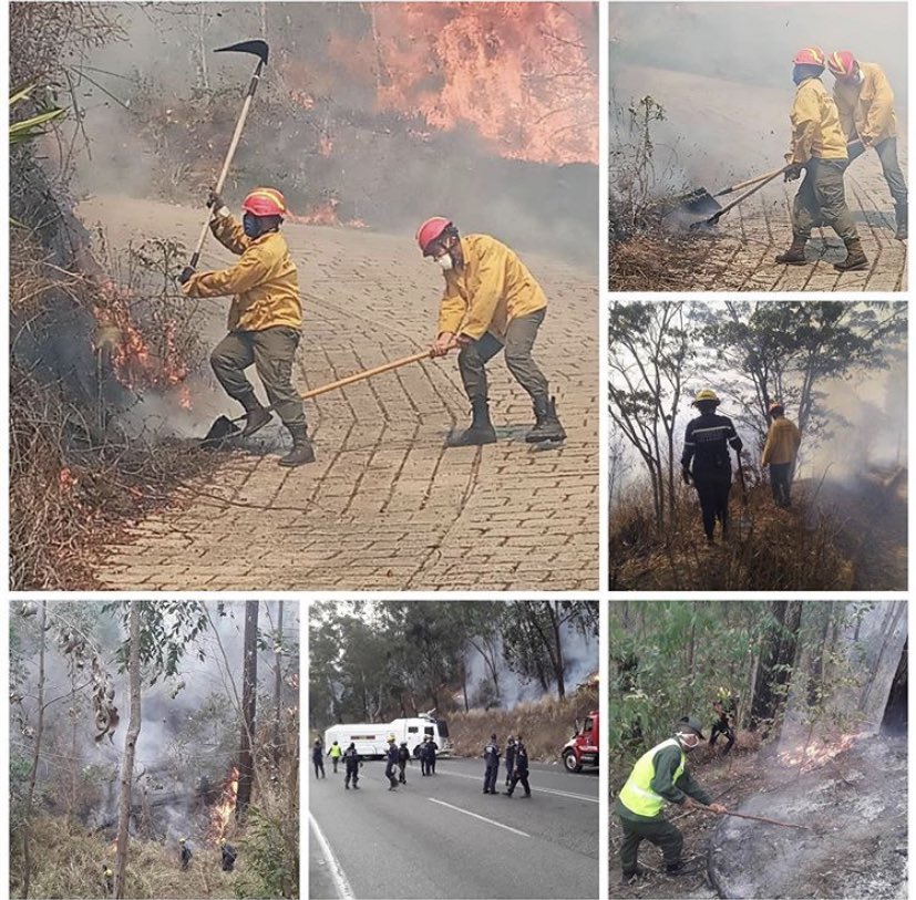 GNB_casana's tweet photo. SEGUIMOS MITIGANDO EL FUEGO 🔥 
.
.
Equipo multidisciplinario trabajando sin descanso para mitigar el fuego en diferentes zonas de Caracas afectadas https://t.co/DCOHvpizs9