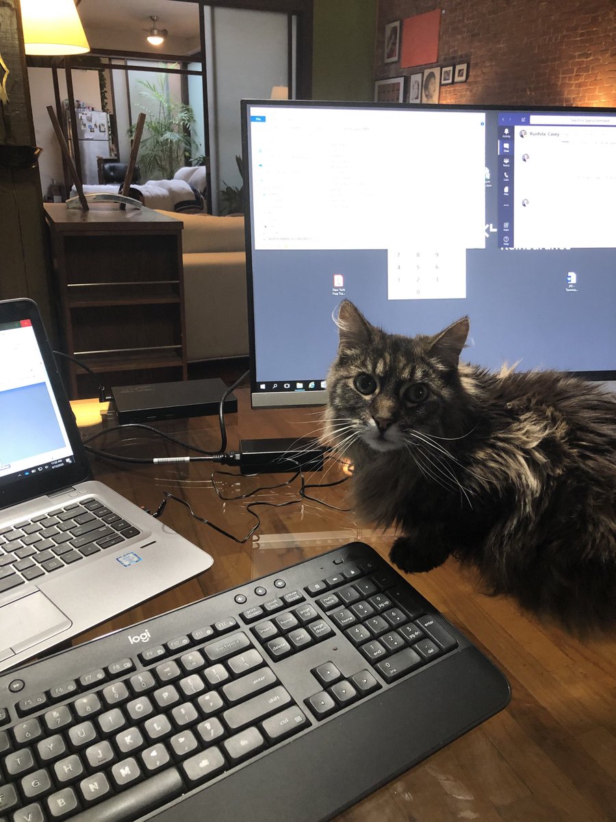 GregCMason's tweet image. #WFH