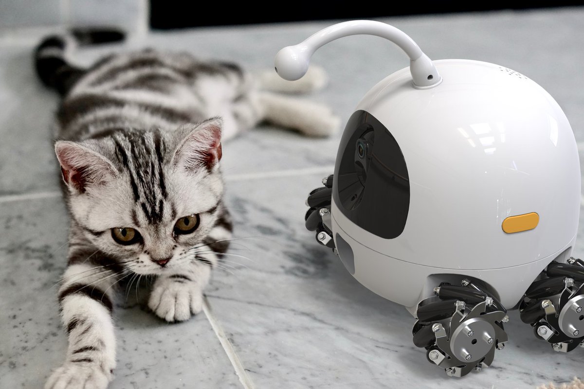 Rocki12844365's tweet image. Rocky is the new robot that will play with your pet when you are not home. Would you use this AI powered high-tech pet-sitter? 

Check it out here: rockybot.ai

#Pets #Robots #PetRobots #Pet #AI #RockyPetRobot #Robot #Robotics
