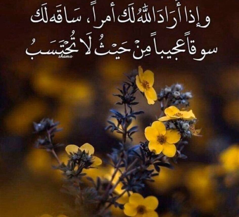 "من علامات توفيق الله للعبد
أن يجعلهُ ملجأً للناس
يُفرّج هماً
يُنفّس كرباً
يقضِي ديناً
يُعين ملهوفاً
ينصر مظلوماً
ينصحُ حائراً
يهدي عاصِياً
قال النبيُّ  ﷺ : خير الناس أنفعهم للناس"