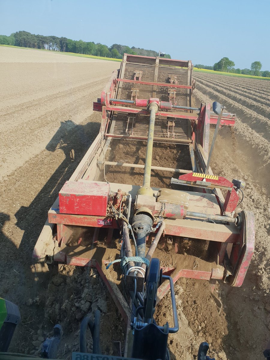 joubier4's tweet photo. @ElieWagFarmer 😁 https://t.co/5HutNYYcWS