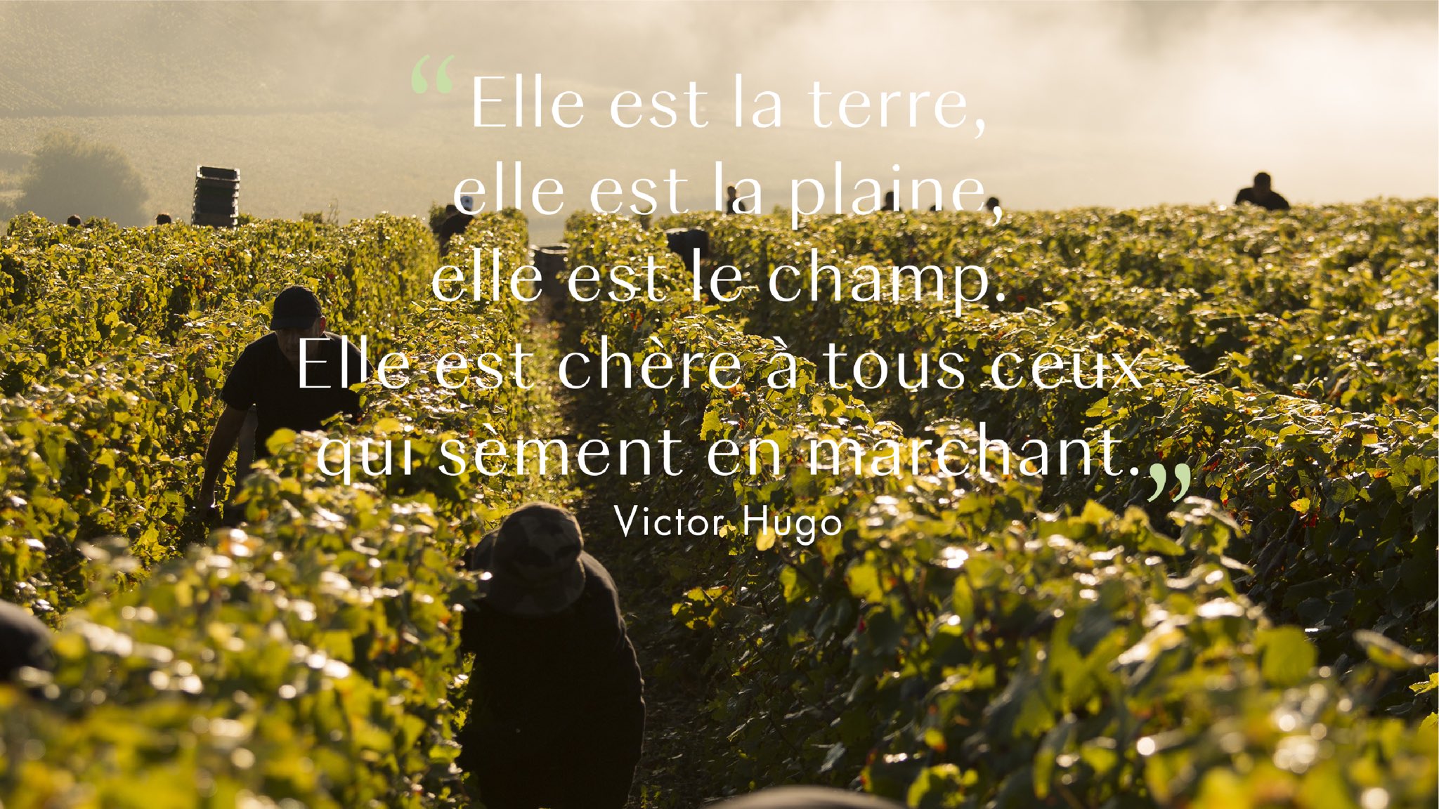 Moet Hennessy She Is The Earth She Is The Plain She Is The Field She Is Dear To All Who Seed While On The March A Day In