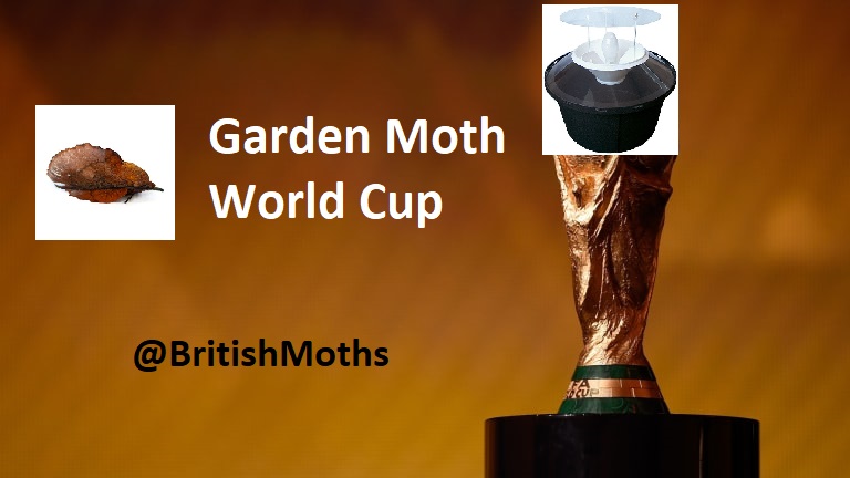 Inspired by  @SteelySeabirder and his Seabird World Cup, I have decided to launch a Garden Moth World Cup. I've selected 16 wonderful common moth species often found in gardens. Now to find out which is the most popular!  #teammoth  #mothsmatter  @savebutterflies